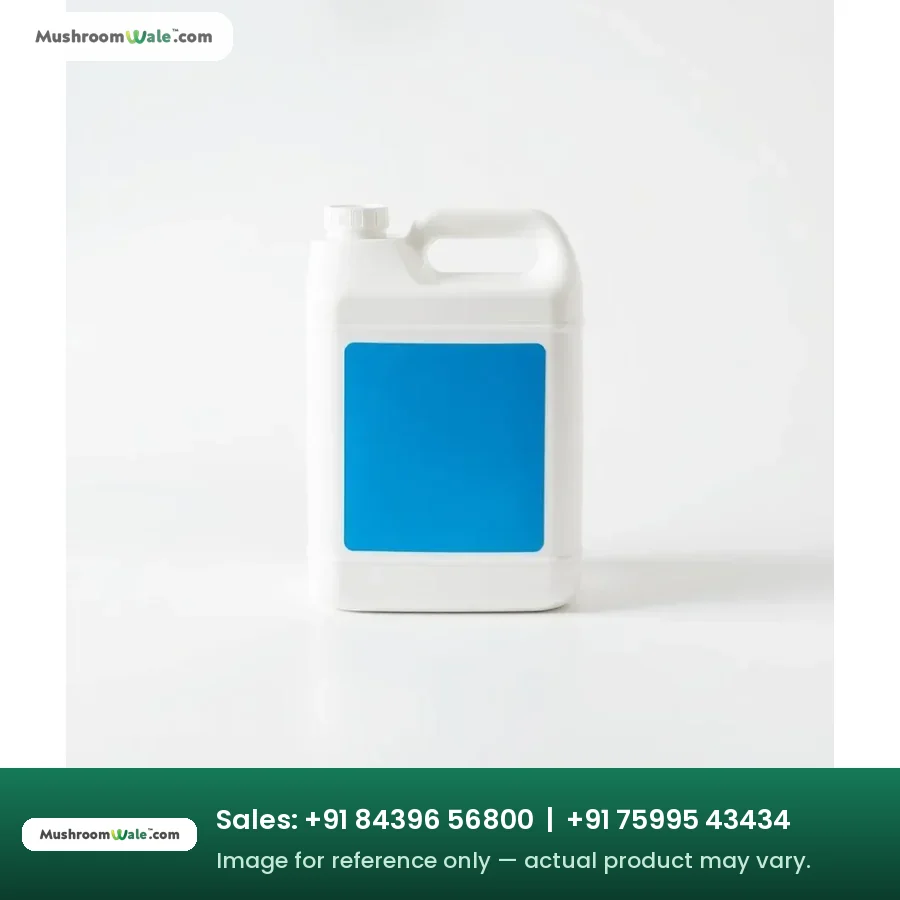 Farm disinfectant concentrate jerry can for mushroom farm sanitation