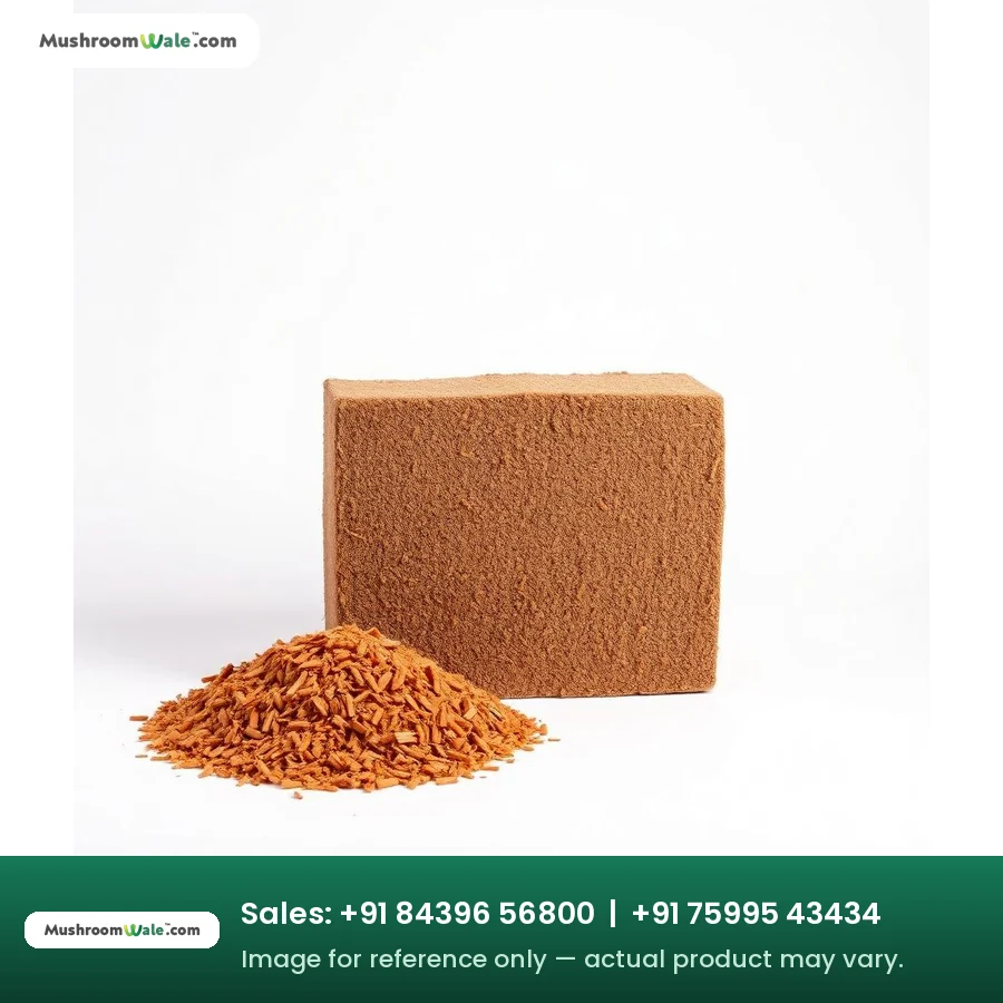 Cocopeat Brick 5 kg — MushroomWale mushroom farming equipment