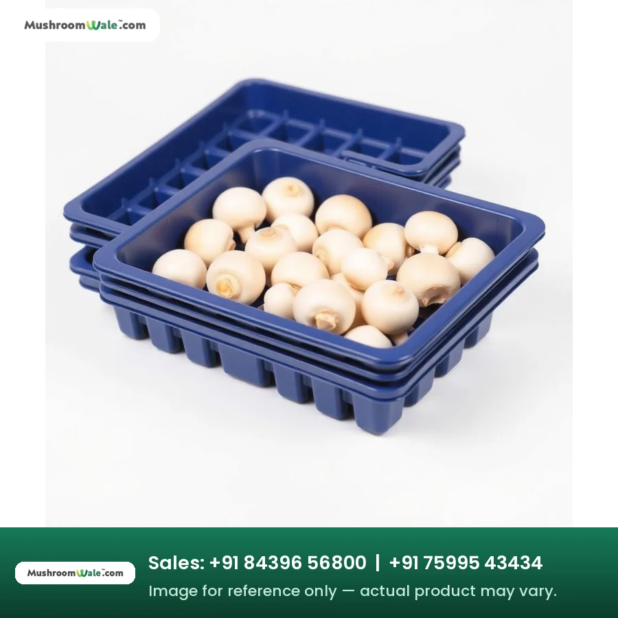 HIPS Blue Punnet Tray — MushroomWale mushroom farming equipment