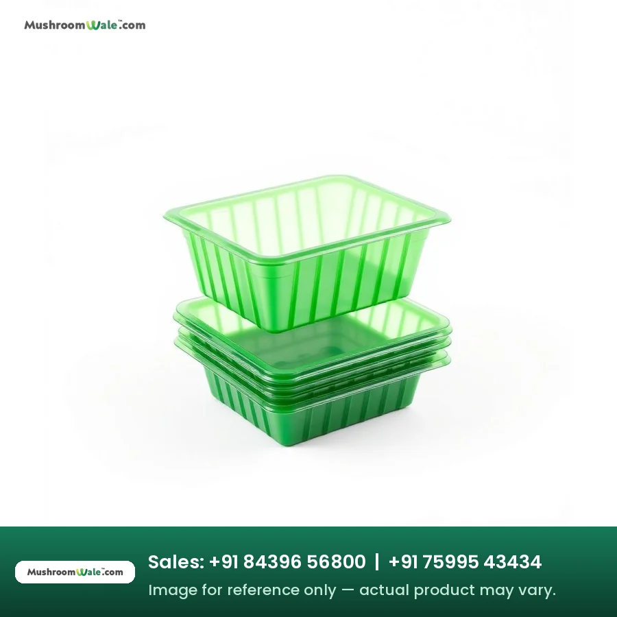 Green PET Punnet (200 g Capacity) — MushroomWale mushroom farming equipment