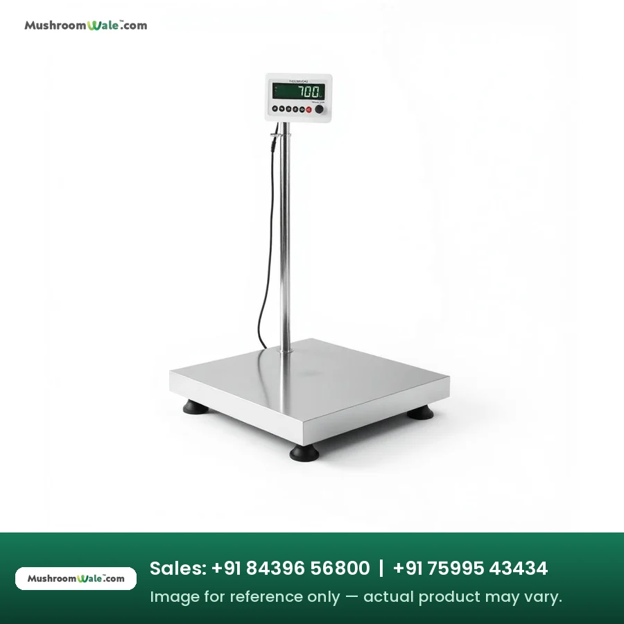 Platform Weighing Scale 300 kg — MushroomWale mushroom farming equipment