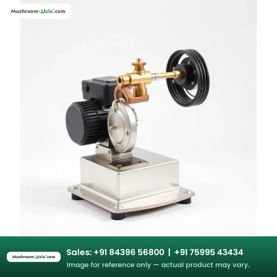 High pressure plunger fogging pump with brass head and motor