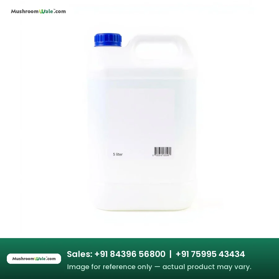 Distilled Water Can 5 Litre — MushroomWale mushroom farming equipment