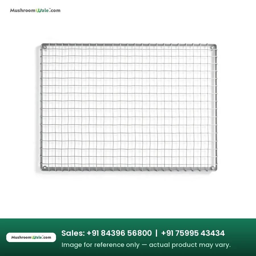 MS welded jali mesh panel for mushroom rack shelves