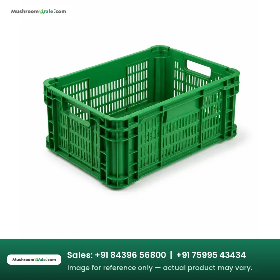 Food grade ventilated HDPE mushroom harvest crate, stackable